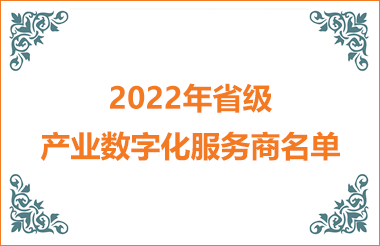 2022年省級產(chǎn)業(yè)數(shù)字化服務商